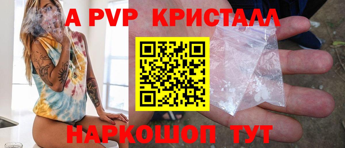 Альфа ПВП СК КРИС Элиста
