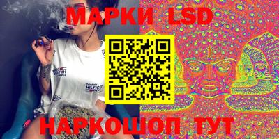 spice Моздок