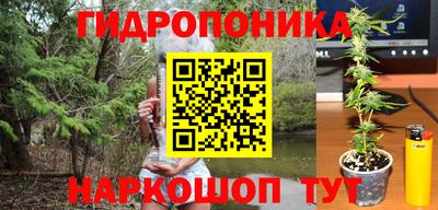 spice Моздок