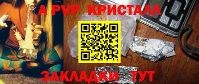 прущие грибы Можайск
