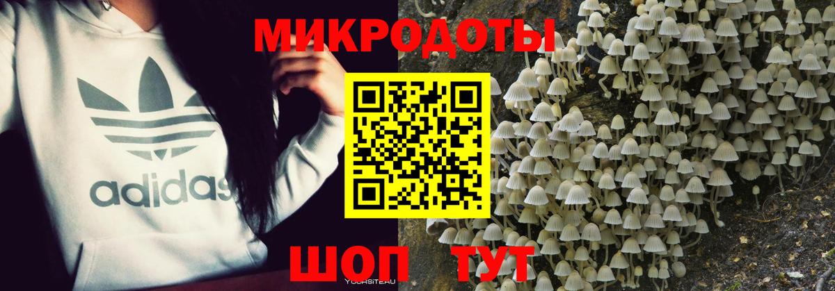 Элиста  Псилоцибиновые грибы мицелий  Вход с VPN 